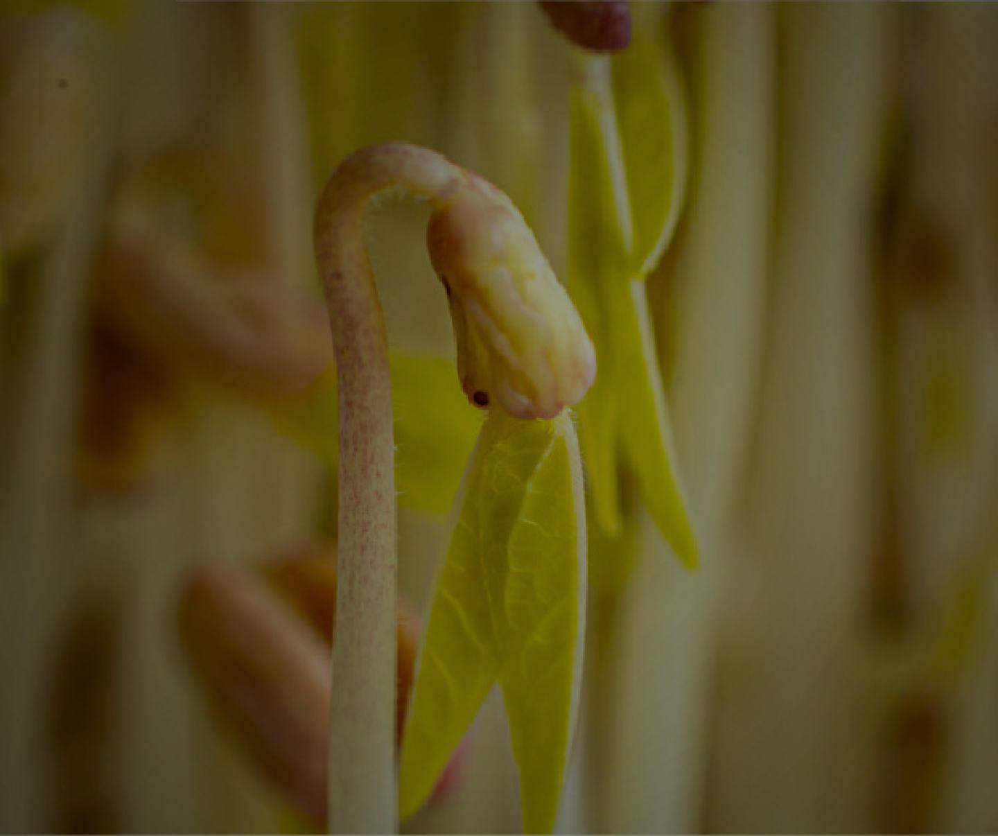 600