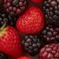 berries